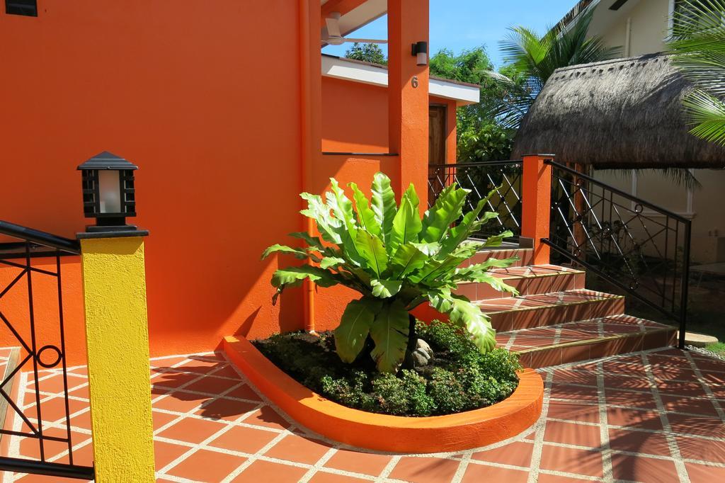 Alona'S Coral Garden Resort (Adults Only) ปางเลา ภายนอก รูปภาพ